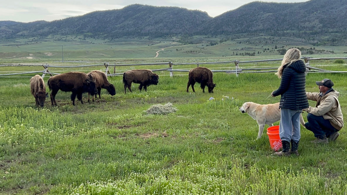 A day at Rebel Ranch (farm adventure)